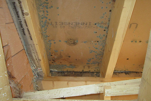 Schimmel auf Holzweichfaserplatte im Dachgeschoss